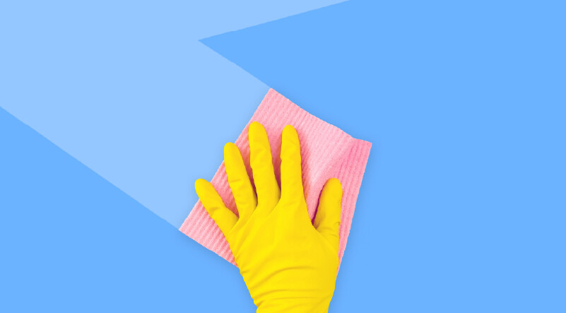 美観を保つためのメンテナンスと注意点のイメージ写真