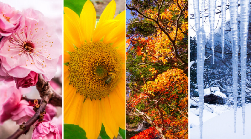 季節感や店舗コンセプトとの統一のイメージ写真